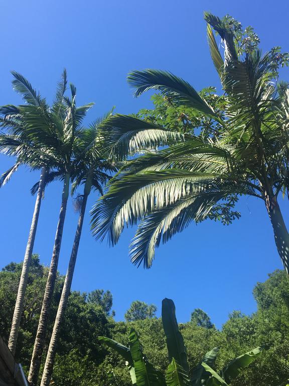 Jardim Da Lagoa