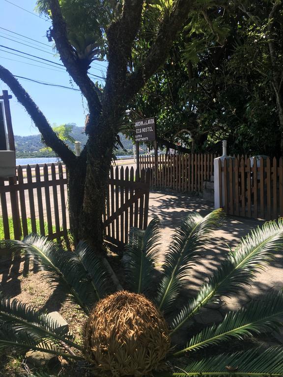 Jardim Da Lagoa * Florianopolis
